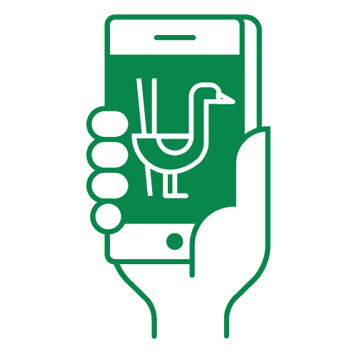 Illustration of hand holding phone with bird on screen